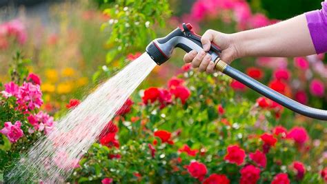 Top 10 Water Saving Tips For Your Garden Acegardener