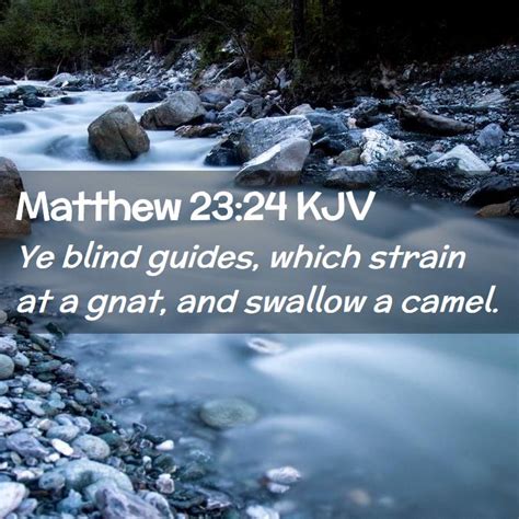 Matthew 2324 Kjv Ye Blind Guides Which Strain At A Gnat And