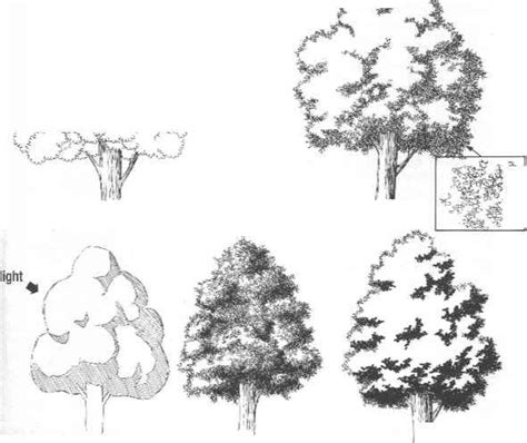 Good Shaded Pics Manga Drawing Landscape Sketch Tree Drawing