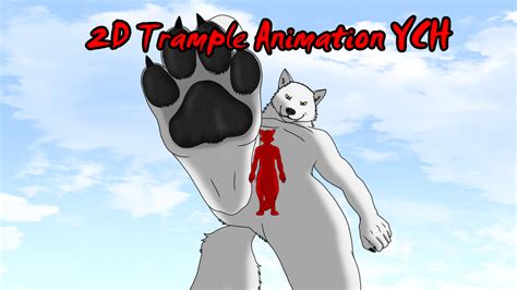 Actual wolf will play after trampled, a vip show that starts at 10 p.m. Full body POV stomp - 2D Trample Animation YCH（CLOSED） by ...