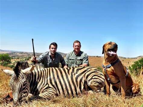 African Plains Game Hunting Big Game Hunting Adventures