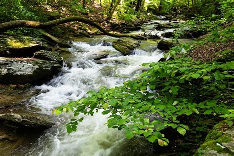 Cross A Flowing Creek On This Scenic Trail At Climbers Run Nature