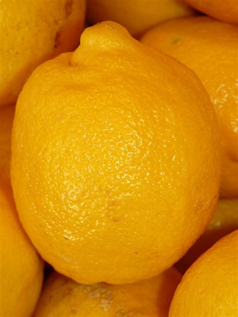 Download Free Photo Of Lemon Sour Fruity Yellow Fruit From