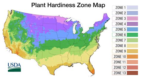 What Is A Hardiness Zone Lawncentral