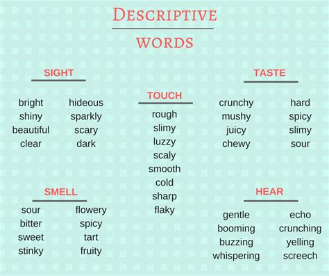 Describing Words English English English Idioms English Vocabulary