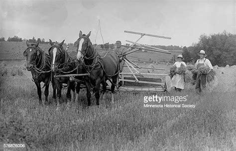 Horse Drawn Binder Photos And Premium High Res Pictures Getty Images