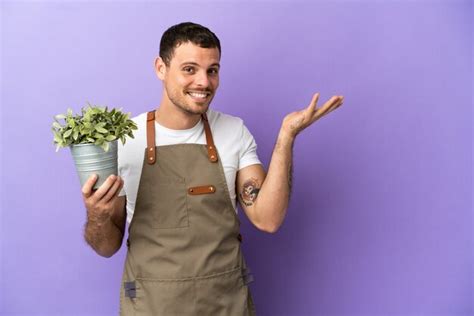 Jardinero brasileño hombre sosteniendo una planta sobre fondo púrpura aislado extendiendo las