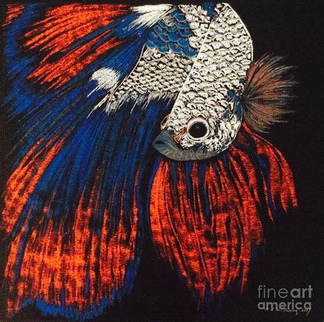Betta Fish Pastel By Natalia Wallwork Pixels