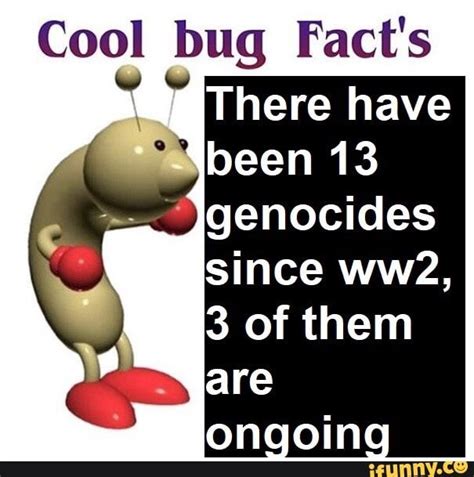Cool Bug Facts Cool Bugs Facts Funny Facts