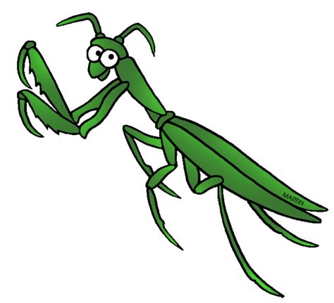 Download High Quality Insect Clipart Praying Mantis Transparent Png