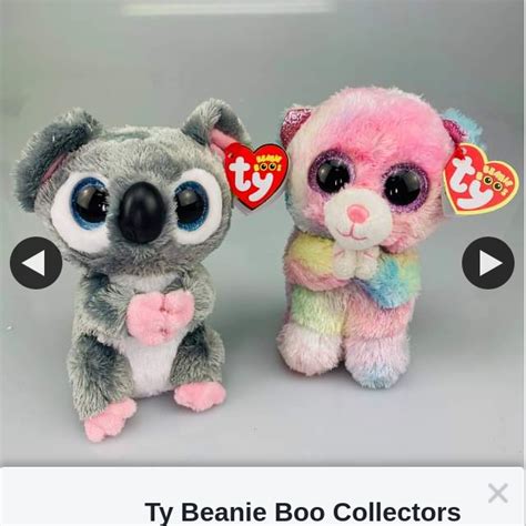 Ty Beanie Boo Collectors Win This Katy The Koala And This