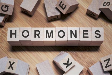 What Influences Hormones On The Body Blog Eric Favre Uk