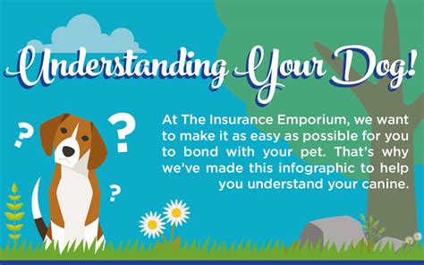 Please fill it in and send it to us, we'll do the rest! UNDERSTANDING YOUR DOG - Welcome to The Insurance Emporium