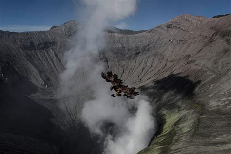 Indonesia Hindus Throw Live Animals Into Crater Of Mount