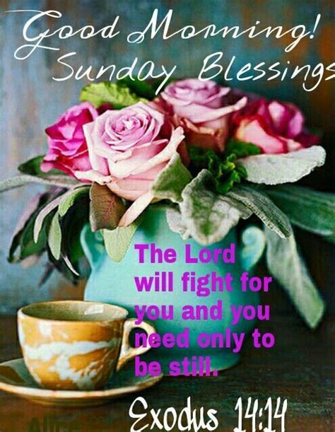 Good Morning Sunday Blessing Pictures Photos And Images
