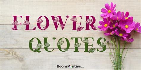 Narcissus, and the sweet brier rose; Flower quotes | 100 "scented" quotations about flowers - Boom Positive