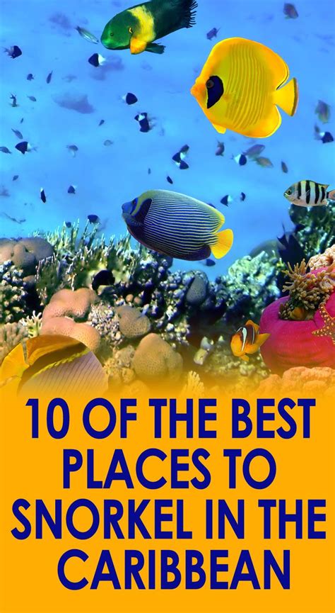 10 Of The Best Places To Snorkel In The Caribbean Snorkeling