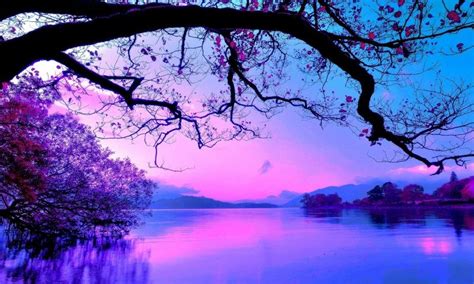 That is why there is an idiom called in the pink—example: Pink Sunset Over The Lake Wallpaper - 800x480