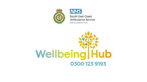 Introducing the Wellbeing Hub - YouTube
