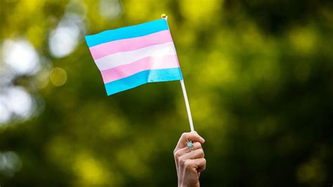 Largest Survey Of Transgender People In The Us Reveals Key Insights
