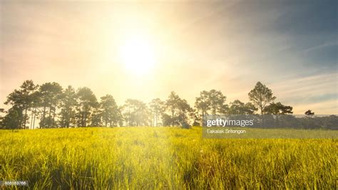 Early Morning Sunrise Over Fields High Res Stock Photo Getty Images