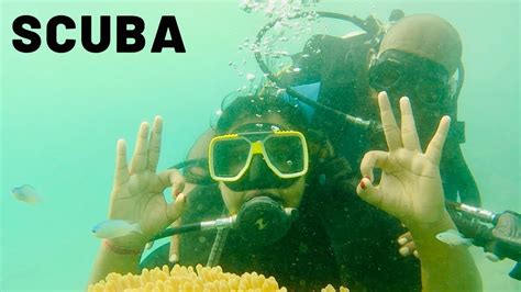 Scuba Diving In Andaman Scuba Diving In Havelock Island Best Scuba