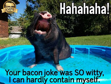 Bacon Jokes Not Funny Raising Farm Animals Animals And Pets Cute