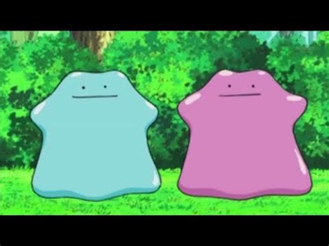 Pokemon go players that bought tickets for the pokemon go tour: What happens if ditto transforms into a shiny pokemon ?? - YouTube