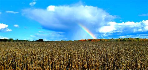 Oddly Satisfying Rainbow Cloud Over Harvest Field Oddlysatisfying