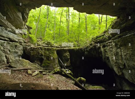 View Of Hubbard S Cave Entrance From Sinkhole Outward Into Forest Stock