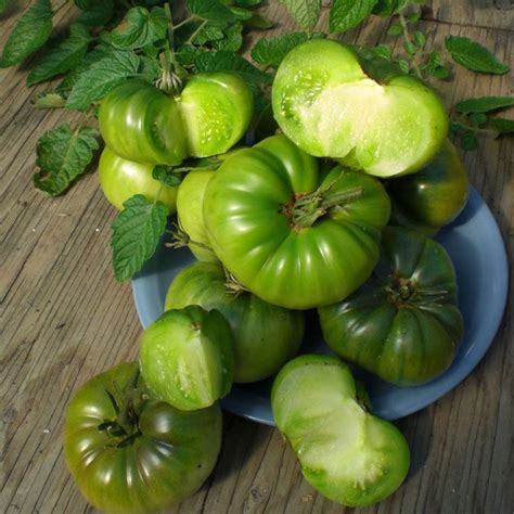 Tomato Seeds Aunt Rubys German Green Vegetable Seeds In Packets