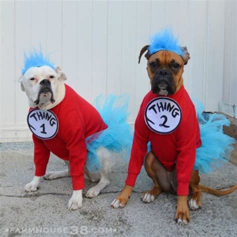 Homemade Dog Costumes 15 Diy Costumes For Your Dog