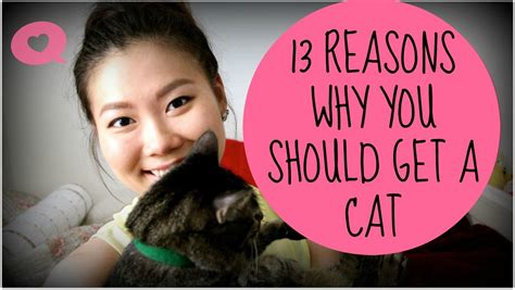13 Reasons Why You Should Get A Cat Youtube