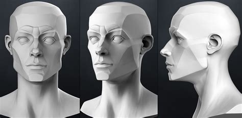 Planes Of The Head Male 3d Model Obj Planes Of The Face Human