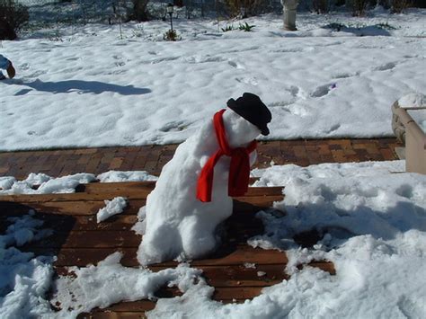 Melting Snowman Inga Munsinger Cotton Flickr