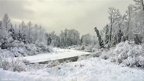 Northern Interior British Columbia Winter Scene Travel To Beautiful