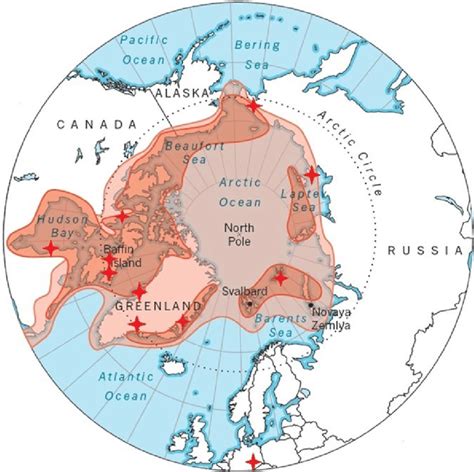 World Distribution Of The Polar Bear Ursus Maritimus In This Overlay