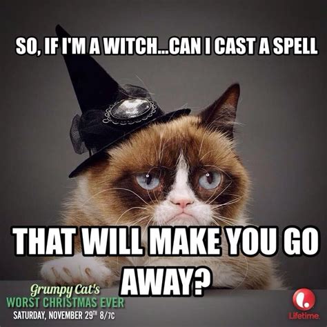 Grumpy Cat Halloween Meme