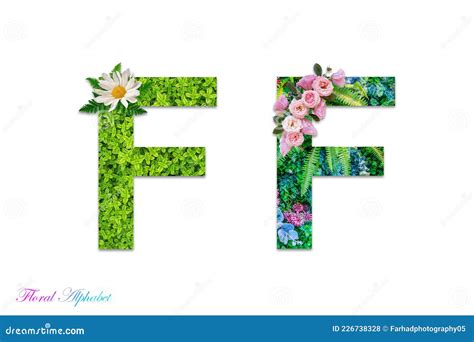 Alphabet Floral Lettres Florale Alphabet Botanique à Base De Fleurs Et