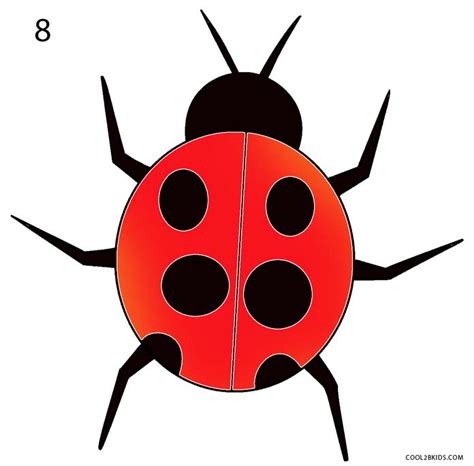 How To Draw A Ladybug Step By Step Pictures Cool2bkids