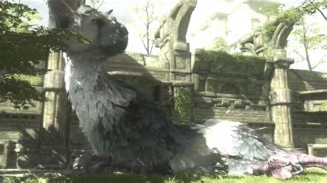 Maybe you would like to learn more about one of these? The Last Guardian Wallpapers - Wallpaper Cave