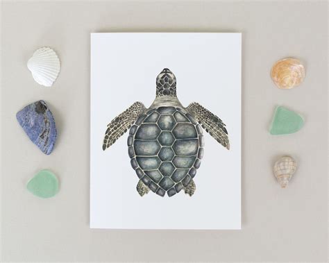 Sea Turtle Note Card Set Printed Watercolor Notecard Set Of Etsy