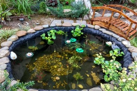 How To Build Your Own Pond Or Water Garden The Complete