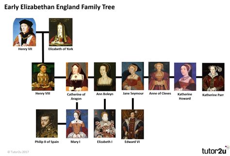 Tudor ascended to the throne: Elizabethan Family Tree | tutor2u History