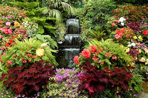 20900 Heaven Garden Stock Photos Pictures And Royalty Free Images Istock