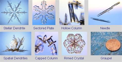A Few Types Of Snowflakes From Pennsylvania State University College