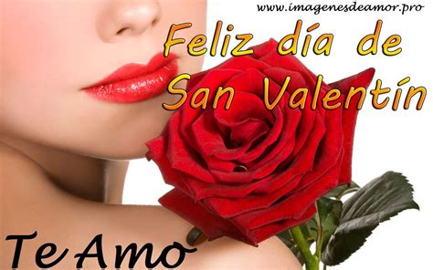 Leonel rojas del 14 de febrero. Imágenes de rosas de feliz 14 de febrero | Imagenes de amor gratis