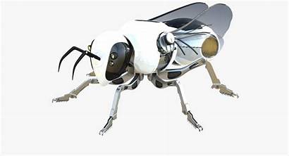 3d Bee Sci Fi Robot Insect Bug