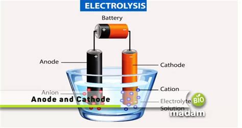 Difference Between Anode And Cathode Biomadam