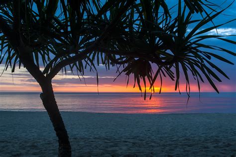 1920x1080 Tree Beach Seashore Summer Laptop Full Hd 1080p Hd 4k